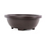 Ovale hoge bruine kunststof bonsai pot - 360 x 285 x 110 mm