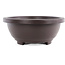 Pot à bonsaï ovale haut en plastique marron - 360 x 285 x 110 mm