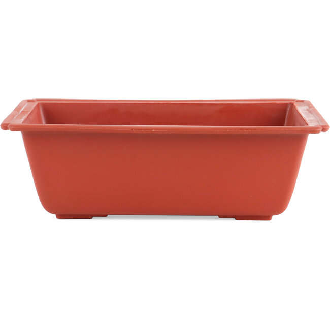 Pot à bonsaï rectangulaire en plastique couleur terre cuite - 250 x 185 x 80 mm