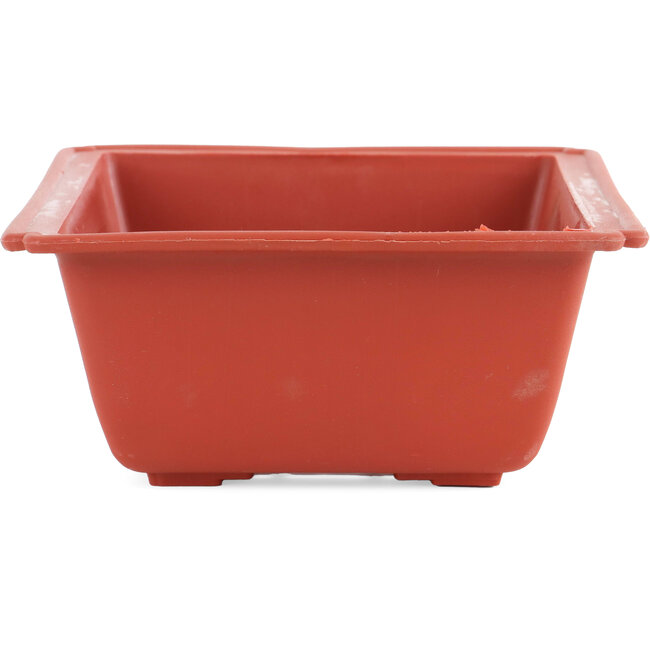 Rectangular plastic bonsai pot  in terracotta color - 250 x 185 x 80 mm