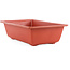 Rectangular plastic bonsai pot - 380 x 245 x 105 mm in terracotta color