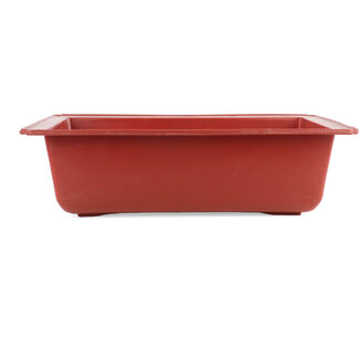 495 mm rectangular plastic pot in terracotta color