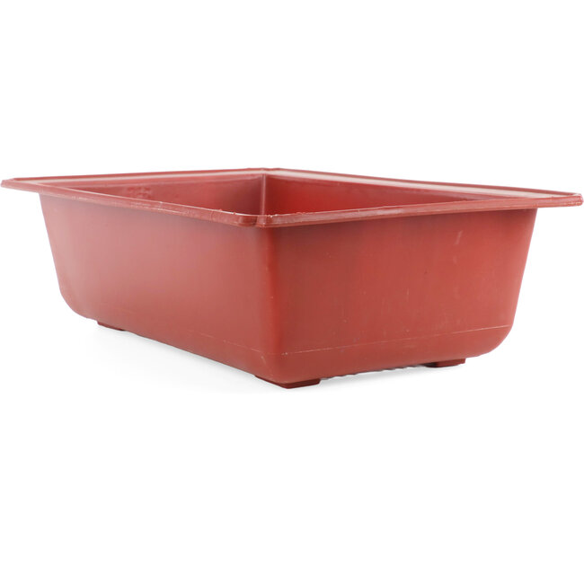 Rechthoekige terra plastic bonsai pot - 495 x 325 x 140 mm in terracotta kleur