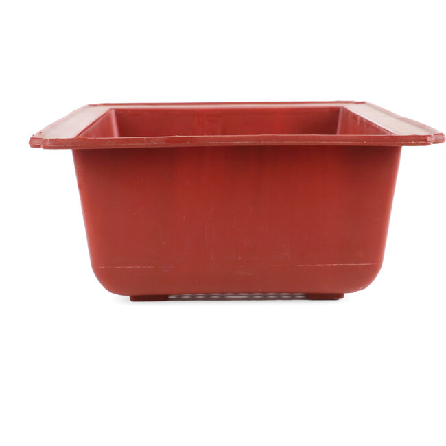 Rechteckige Terra-Plastik-Bonsaischale - 495 x 325 x 140 mm in Terrakotta-Farbe