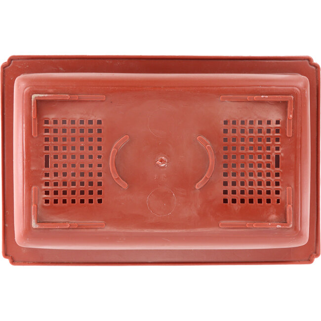 Rectangular terra plastic bonsai pot - 495 x 325 x 140 mm  in terracotta color