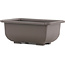 Maceta de bonsái de plástico marrón rectangular - 151 x 105 x 62 mm
