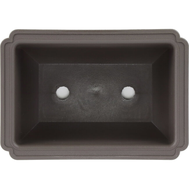 Maceta de bonsái de plástico marrón rectangular - 151 x 105 x 62 mm
