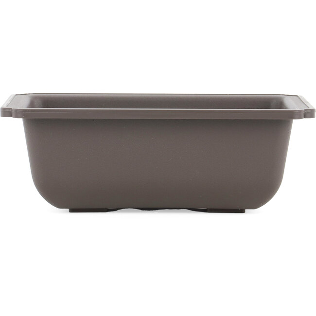 Pot à bonsaï rectangulaire en plastique marron - 176 x 126 x 63 mm