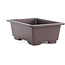 Pot à bonsaï rectangulaire en plastique marron - 240 x 170 x 85 mm