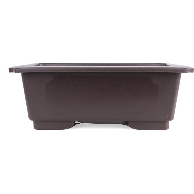 Plastic 2024 bonsai pots