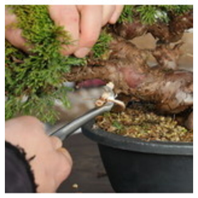 Jin-Werkzeug - Hohlkehle 190 mm - runder Haken