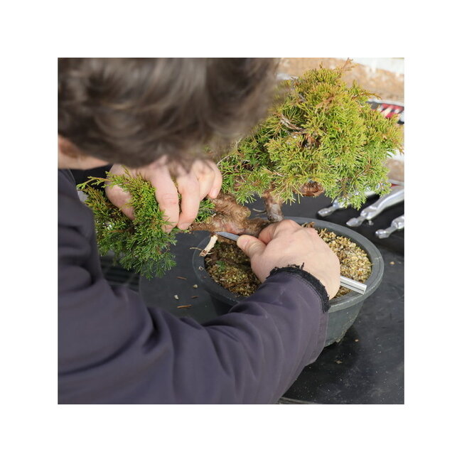 Jin tool - guts 190 mm - recht