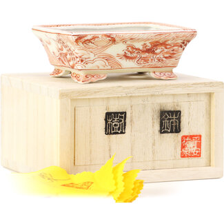Kutani Aritomo Pot à bonsaï rouge rectangulaire 95 mm par Kutani, Japon