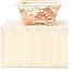 Pot à bonsaï rectangulaire rouge par Kutani - 95 x 75 x 35 mm
