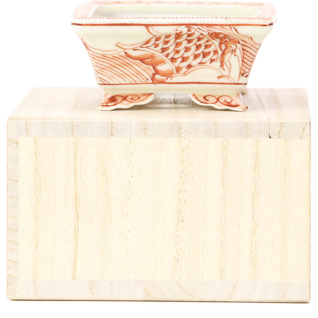 Vaso rettangolare per bonsai rosso di Kutani - 95 x 75 x 35 mm