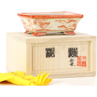 Kutani Aritomo Pot à bonsaï rouge rectangulaire 95 mm par Kutani, Japon