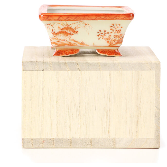 Rechteckige rote Bonsaischale von Kutani - 95 x 75 x 35 mm