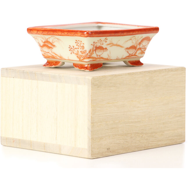Vaso rettangolare per bonsai rosso di Kutani - 95 x 75 x 35 mm