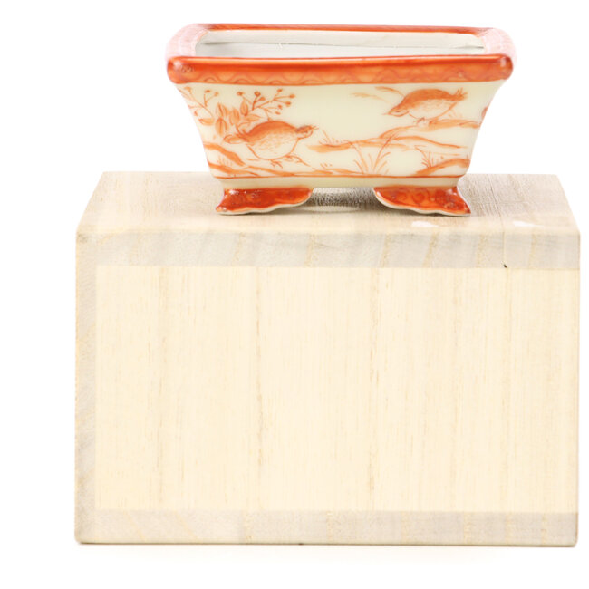 Pot à bonsaï rectangulaire rouge par Kutani - 95 x 75 x 35 mm