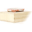 Oval red bonsai pot by Kutani - 113 x 80 x 15 mm