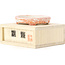 Oval red bonsai pot by Kutani - 100 x 80 x 18 mm