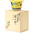 Pot à bonsaï rond jaune par Syoami - 120 x 120 x 75 mm