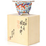 Round multicolor bonsai pot by Syoami - 120 x 120 x 75 mm