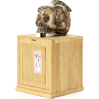 PiéDestal En Bois Base pour Bonsaï en bois, Base d'ornement pour  l'artisanat la sculpture, Présentoir en bois pour ailes poulet, Pierre  bizarre Pot