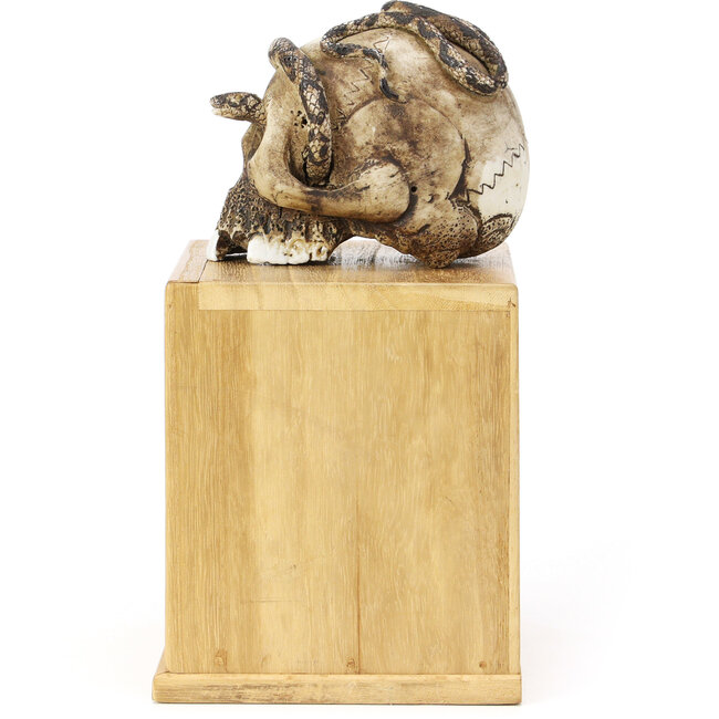 90 mm ceramic tenpai with cloth and box 90 x 111 x 80 mm - origin Japan