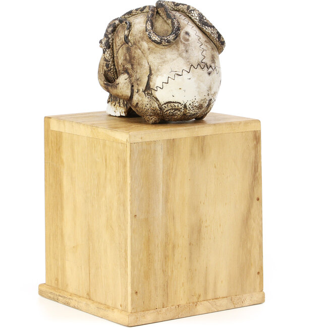 Tenpai in ceramica 90 mm con panno e scatola mm 90 x 111 x 80 - origine Giappone