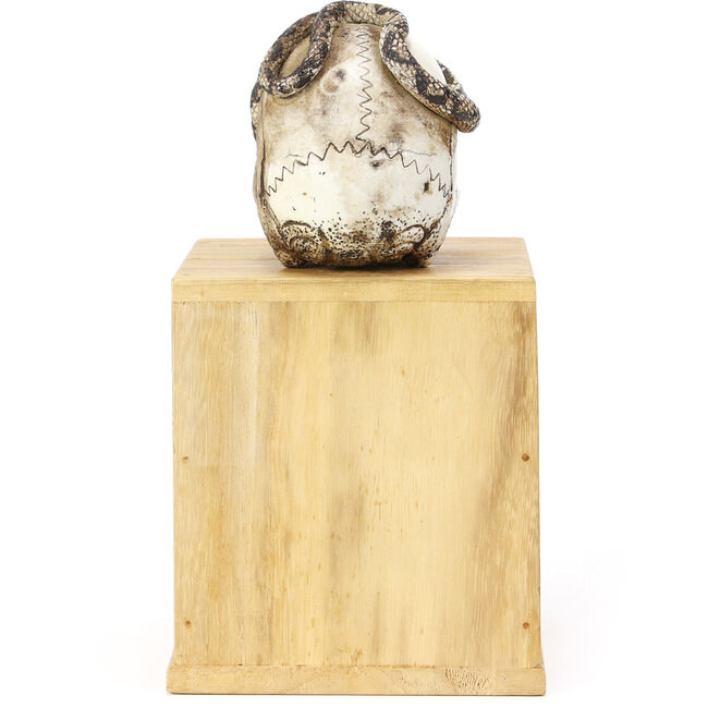 Tenpai de cerámica de 90 mm con tela y caja 90 x 111 x 80 mm - origen Japón