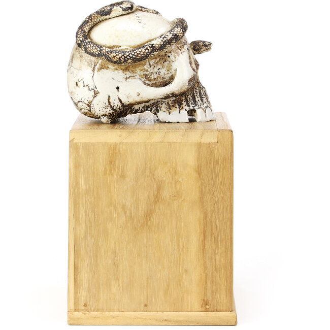 Tenpai in ceramica 90 mm con panno e scatola mm 90 x 111 x 80 - origine Giappone