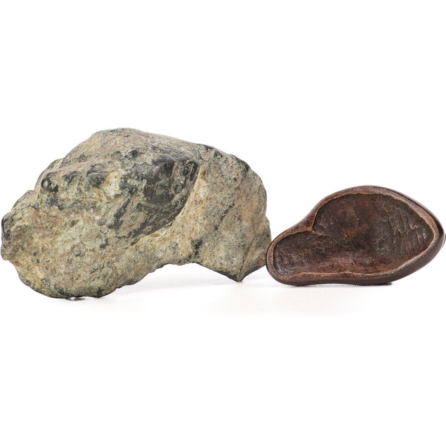 36 mm Suiseki mit dai 36 x 66 x 40 mm - Herkunft Japan