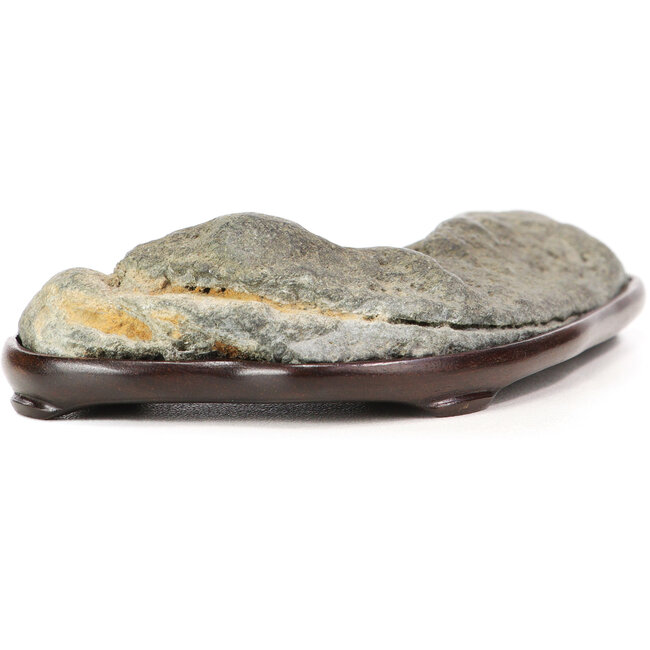 Suiseki da 30 mm con dai 30 x 60 x 110 mm - origine Giappone