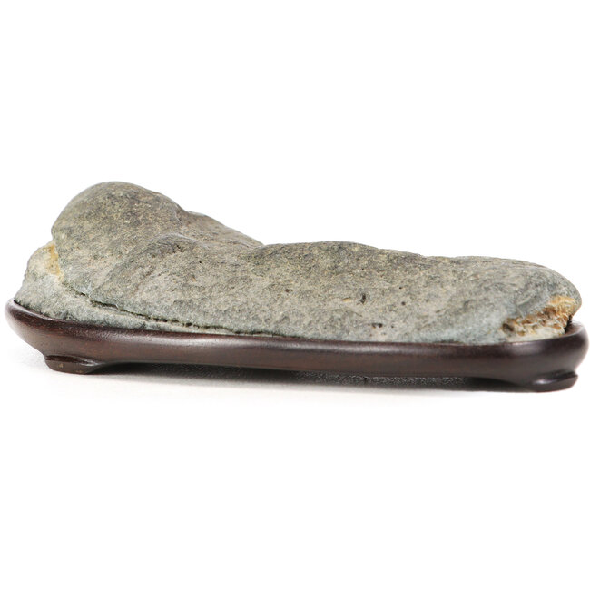 Suiseki da 30 mm con dai 30 x 60 x 110 mm - origine Giappone