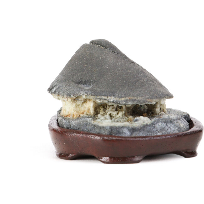 Hutstone da 45 mm con dai 45 x 65 x 55 mm - origine Giappone