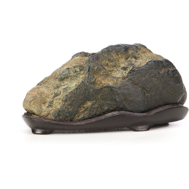 Suiseki da 30 mm con dai 30 x 60 x 28 mm - origine Giappone