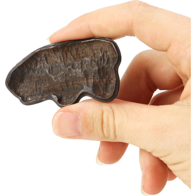 30 mm Suiseki mit Dai 30 x 60 x 28 mm - Herkunft Japan