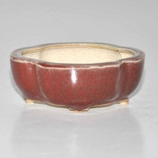 Eimei ( Yozan kiln) Vaso ovali