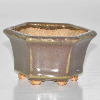 Hattori Tomoyuki Olla rectangular