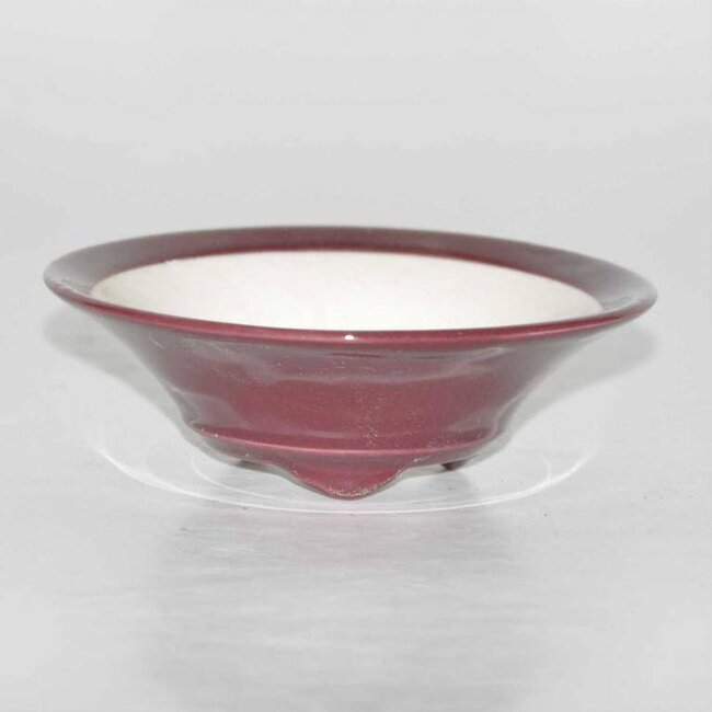olla ovalada