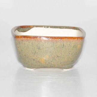 Olla rectangular