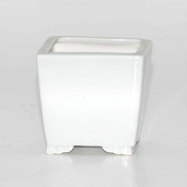 Rectangular pot