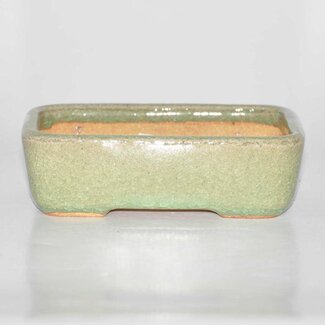 Hattori Tomoyuki Rectangular pot