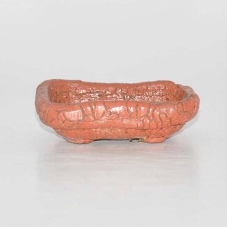  Other Tokoname bonsai pot makers Olla rectangular
