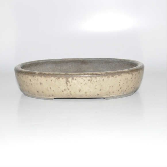 Oval pot Bonsai Plaza
