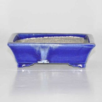 Satomi Mazan, Mazan Terahata Rectangular pot