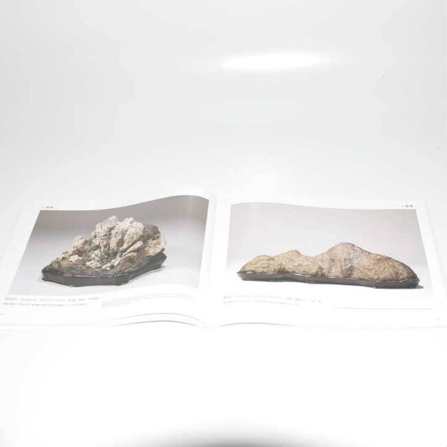 Nippon Suiseki Association 2014