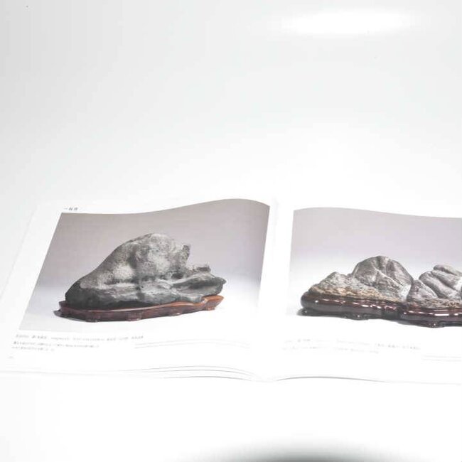 Nippon Suiseki Association 2014