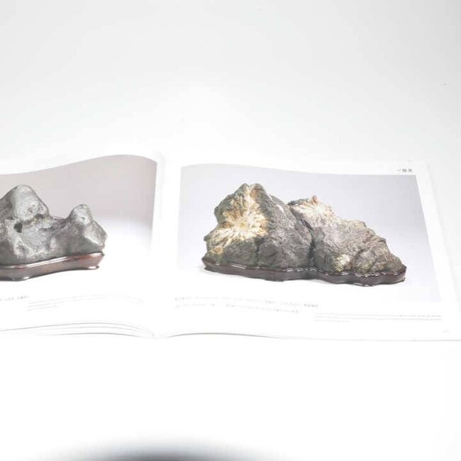 Nippon Suiseki Association 2014